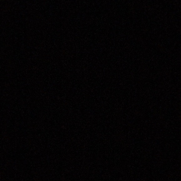 Meet your Posher, Riley - Picture 1 of 1